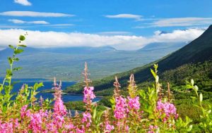 vandra i abisko