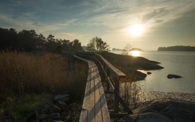Vandring i Nyköping – 9 fina vandringsleder