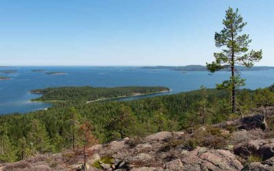 Vandring i Ångermanland – 8 fina vandringsleder