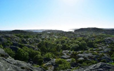 Vandring i Bohuslän – 6 fina vandringsleder