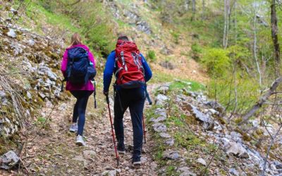 Är vandring bra träning? (7 fördelar med vandring)