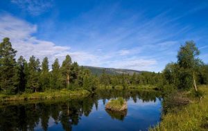 vandring i hälsingland