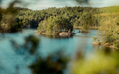 Vandring i Vättlefjäll – 6 fina vandringsleder