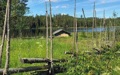 Vandring i Vansbro – 5 fina vandringsleder